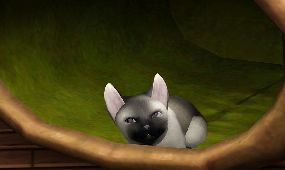 Mod The Sims Sims 3 Pets Pictures